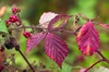 Autumn is definitely here